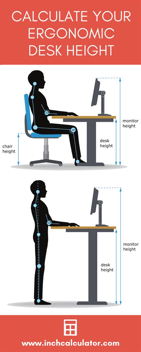 桌子椅子距離|Desk Height Calculator 辦公桌高度合格嗎？輸入你的。